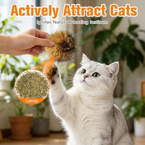 5Pcs Cat Toy Faux Rabbit Fur Ball, Rabbit Fur Ball Cat Toy, Soft Fluffy Cat Toy Ball, Furry Catnip Toy Ball for Indoor Cats, Washable & Fun to Chase for Exercise and Bonding - Image 4