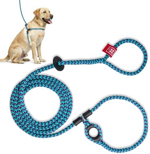 Harness Lead No Pull Dog Harness and Leash Set, Anti Pull Dog Harness, One-Piece Cushioned Rope Safely Prevents Escaping and Pulling (Medium/Large, Purple/Turquoise) by HarnessLead