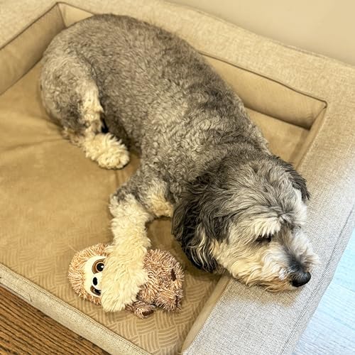 SPOT Fun Sloth Dog Toy - Soft, Stuffed, Squeaky, Plush Fabric Toy for Mini and Small Dogs and Puppies, Enrichment for Light Chewers and Cuddlers, 7in - Image 4