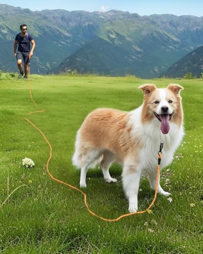 Joytale Long Dog Leash for Yard Tie Out & Recall Training, Orange, 50FT - Image 2