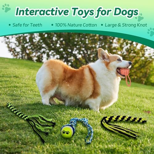 Flirt Pole for Dogs, Interactive Toys Tug-of-war for Pet, Durable Teaser Wand, Chase Toys with Rope Chewing Sticks, for Outdoor Exercise & Training - Image 3