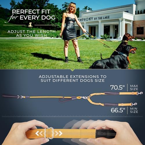 Premium Double Leash for Two Dogs, Medium & Large Breeds, Black - Image 5