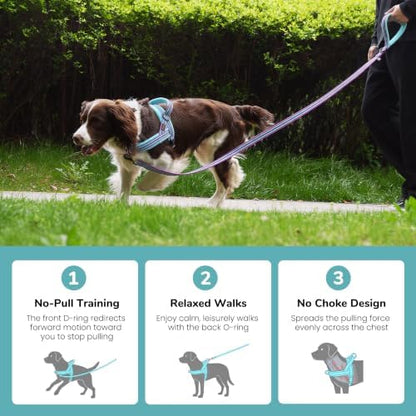 Didog No Pull Dog Harness for Large Dogs, Soft Flannel Padded, Mixed-Blue,L - Image 4