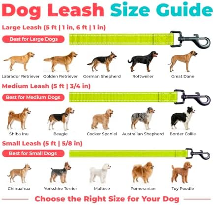 Best Pet Supplies Voyager Nylon Dog Leash - Lime Green, Small - Image 6