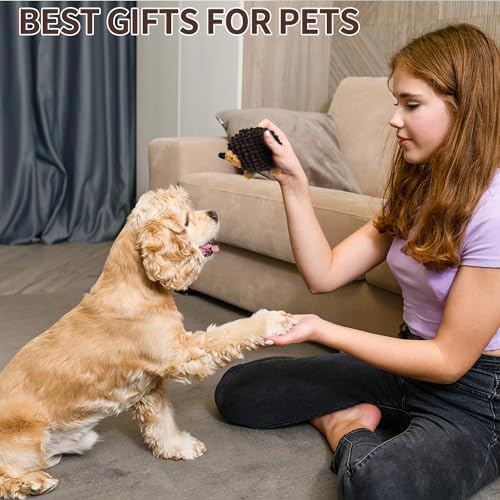 2-in-1 No-Stuffing Hedgehog Dog Toys 3 PCS, Squeaky Ball for Throwing Play - Image 6