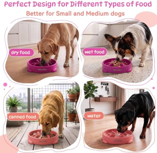 WinTour 2 Pack Slow Feeder Dog Bowls, BPA Free, Medium & Small Dog Bowls - Image 4