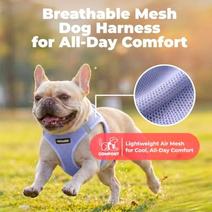 Voyager Step-in Air Dog Vest Harness - Lavender, XX-Small - Image 5