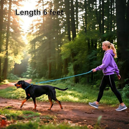 Heavy Duty Double Handle Dog Leash 6 ft Long for Total Control, Padded 2 Handle, Reflective Training Lead for Medium Large Dogs (Sky Blue, 6 FT) - Image 3