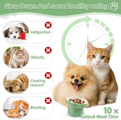 Cat Slow Feeder Bowl Set,1 Pcs Pastel Series Cat Plate for Dry and Wet Food - Image 4