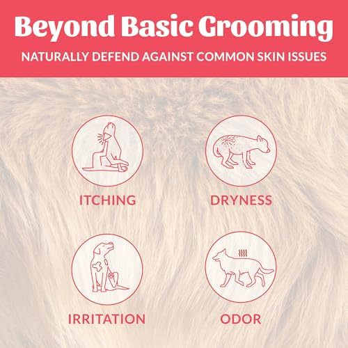 SKOUT'S HONOR Probiotic Dog Deodorizing Spray - Sunkissed Coconut, 8 oz - Image 3