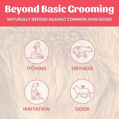 SKOUT'S HONOR Probiotic Dog Deodorizing Spray - Sunkissed Coconut, 8 oz - Image 3