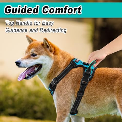 BARKBAY Dog Harness No-Pull Pet Harness Adjustable Outdoor Pet Vest 3M Reflective Oxford Material Vest for Dogs Easy Control for Small Medium Large blue Dogs (M) - Image 4