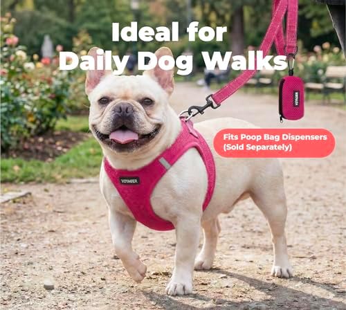 Best Pet Supplies Voyager Nylon Dog Leash - Fuchsia, Small - Image 3