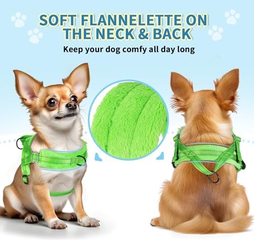SlowTon No Pull Small Dog Harness and Leash Set with Front Clip - Image 2