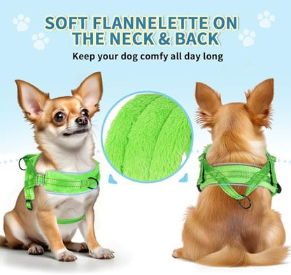 SlowTon No Pull Small Dog Harness and Leash Set with Front Clip - Image 2