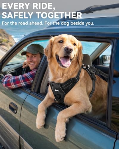 Joytale 3-in-1 Bungee Dog Seat Belt for Car, Medium and Large Dogs, Black - Image 4
