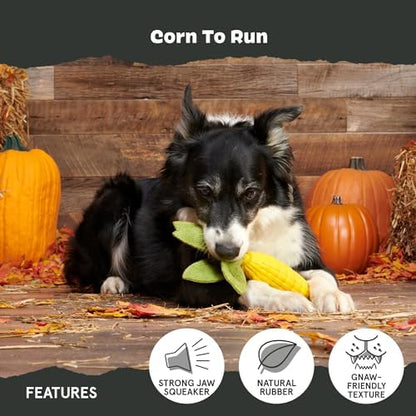 BarkBox Corn to Run Dog Toy - Toy for Large Dogs - Image 4