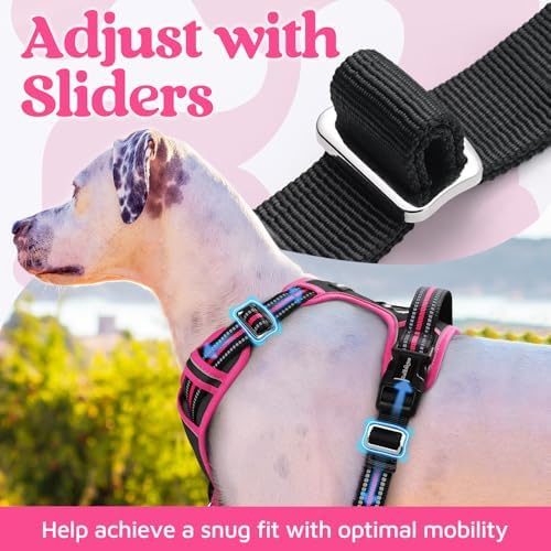 rabbitgoo Dog Harness for Large, No Pull 3 Buckles Easy On & Off - Image 5