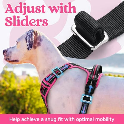 rabbitgoo Dog Harness for Large, No Pull 3 Buckles Easy On & Off - Image 5