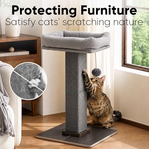 FUKUMARU Retro-Style Cat Scratching Post with Perch for Indoor Adult Cats - Image 4