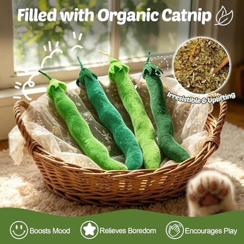 CiyvoLyeen Plush Green Bean Catnip Toys for Indoor Cats 4 Pack - Image 4