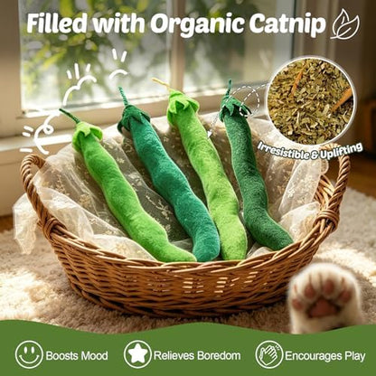 CiyvoLyeen Plush Green Bean Catnip Toys for Indoor Cats 4 Pack - Image 4