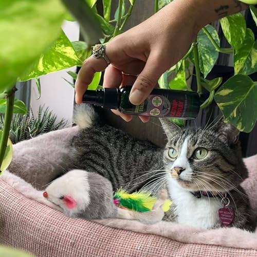 Smokey's Stash Gray and White Faux Fur Cat Mice Toy 12 Per Pack Multi Color Realistic Interactive Small Mouse with Rattle and Catnip Safe for Adult Cats and Kittens - Image 2
