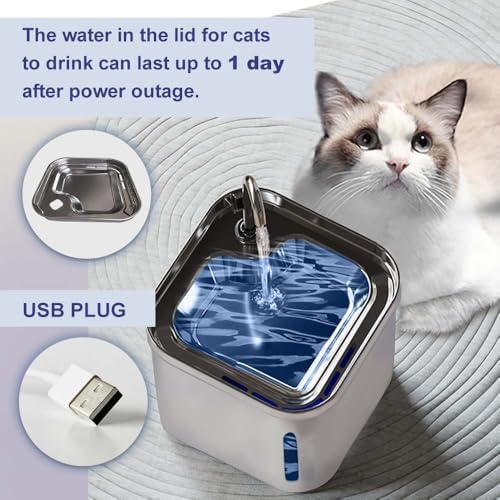 Cat Fountains for Drinking, Stainless Steel Bowl Cat Water Fountain,Water Dispenser for Cats, 74OZ/2.2L Water Fountains for Cats Indoor - Image 5