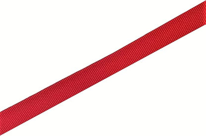 TAIAN 4FT/5FT/6FT Strong Dog Leash, Nylon Dog Leashes for Small Medium Large Dogs (1 in x 4 ft, Red)