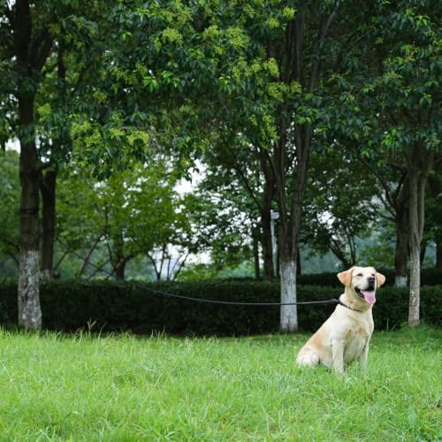 Long Dog Leash, 10ft 30ft 50 feet Heavy Duty Dog Training Leash, Aviation Aluminum Auto Locking Carabiner, Nylon Rope Long Line Check Cord Recall Lead for Yard,Playing,Camping,Blue,30FT - Image 6