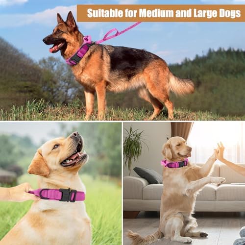 Tactical Dog Collar Leash Set, Dog Collar with Controll Handle, Pink, M - Image 5