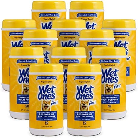 Wet Ones for Pets Deodorizing Dog Wipes, Tropical Splash, 50 Count, 12-Pack by WetOnes