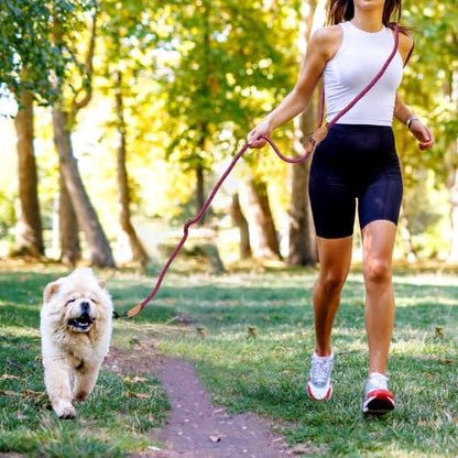 Mile High Life Hands Free Dog Leash, Crossbody Waist Leash with Genuine Leather Connection, Multifunctional Adjustable Slip Lead for Dog Walking Running (Pink, 8FT) - Image 2