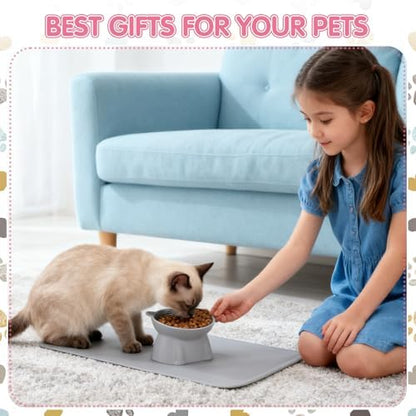Elevated Cat Bowls 15° Raised Cat Bowl with Silicone Mat Multicolor - Image 7