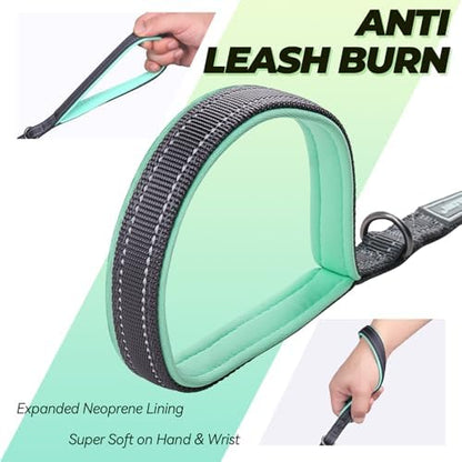 VIVAGLORY Double Handle Dog Leash Twingrip, 4ft x 1/2in, Grey - Image 3