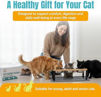 Raised Cat Food Bowls-3 Bowl Elevated Cat Feeding Station with Mat - Image 4