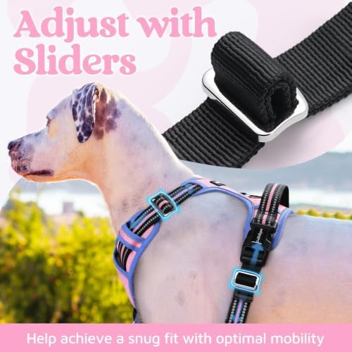 rabbitgoo Dog Harness for Large, No Pull 3 Buckles Easy On & Off - Image 5