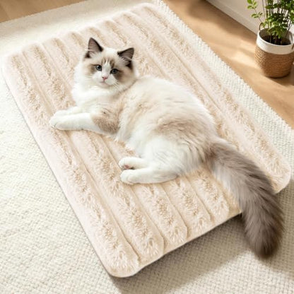 Cat Bed Mat for Indoor Cats, Self Warming Plush Cat Bed, 23.6"x15.7" White by NODARKO