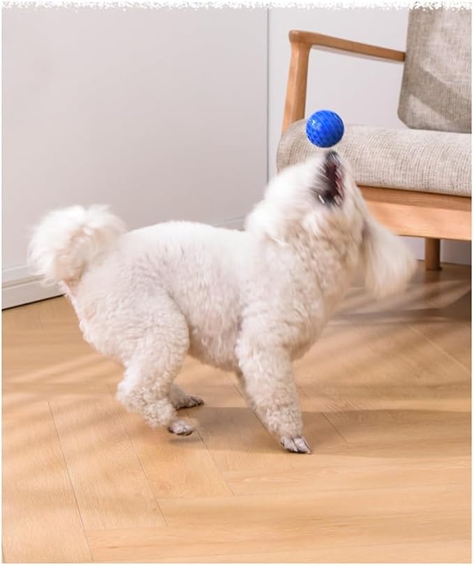 Chuck It Balls 4pcs Indestructible Dog Toys for Aggressive Chewers Interactive Dog Balls Small Size 6.5cm/2.55in Diameter - Set of 4