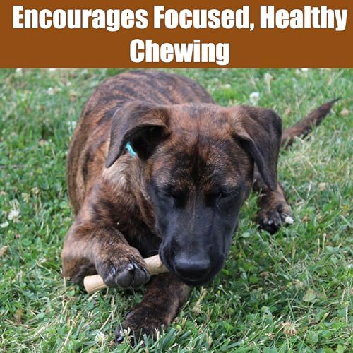 SPOT Bam-Bones Plus Bamboo Stick – Bamboo Fiber & Nylon, Durable Long Lasting Dog Chew for Aggressive Chewers – Great Toy for Adult Dogs & Puppies Under 60lbs, Non-Splintering, 5.25in, Chicken Flavor - Image 6