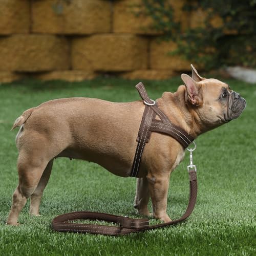 Plutus Pet No Pull Dog Harness for Puppy Small Dogs, Breathable Mesh Padded - Image 5