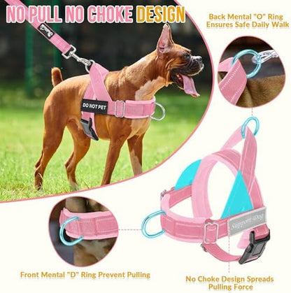 SlowTon No Pull Dog Harness and Leash Set - Heavy Duty, Soft Padded - Image 2