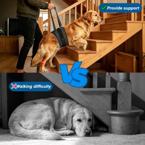 Dog Lift Harness for Large Dogs, Curved Rear Edge for Your Dog’s Comfort, Adjustable Hind Leg Support Sling for Walking and Stair Assistance, Size L - Image 6