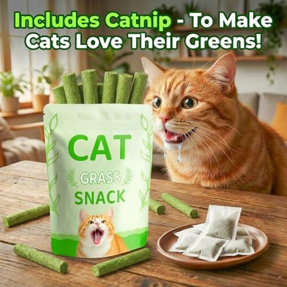 Cat Toy 18Pcs Variety Pack Cat Grass Treat & Catnip Rope Mix - Image 5