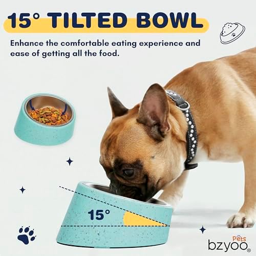 bzyoo 16oz Tilted Dog Bowl for Small Dogs & Cats, 15° Elevated Stainless Steel Pet Feeder, Ergonomic Anti-Vomiting Food Bowl for Frenchie, Pug, Persian Cat, Non-Skid Melamine Stand, Sprinkle (Green) - Image 4