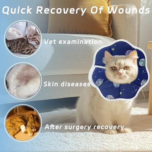 Soft Adjustable Cat Cone Collar, Comfortable Cat Recovery Collar - Image 4