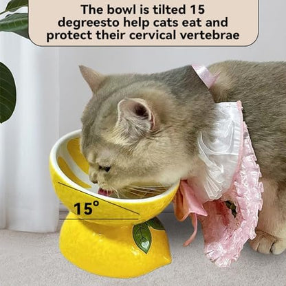 Elevated Cat Bowl Ceramic Raised Cat Food Water Bowls for Indoor Kitten - Image 3