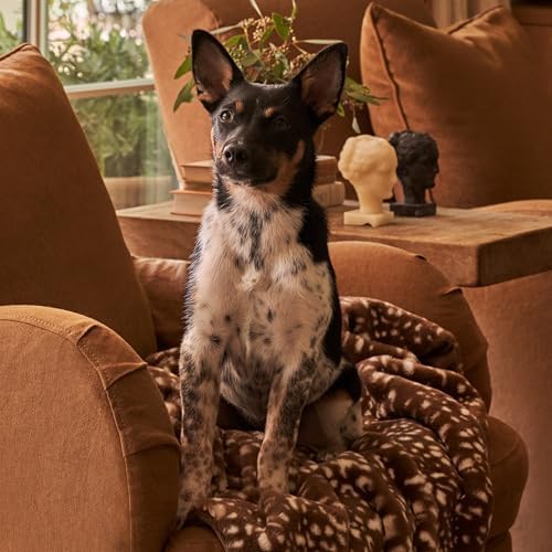 UnHide Lil’ Marsh Pet Blanket, Extra Soft Faux Fur, Washable Dog Blanket - Image 5