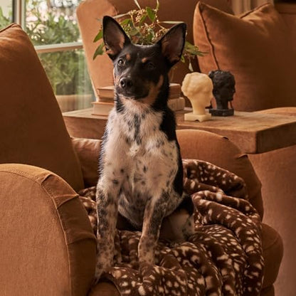 UnHide Lil’ Marsh Pet Blanket, Extra Soft Faux Fur, Washable Dog Blanket - Image 5