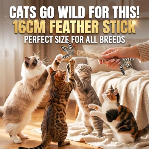 Cat Chew Toys Silvervine Sticks Dental Treat Feather 3Pack Indoor - Image 6